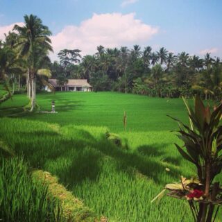 Vila Heaven Ubud 14