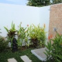 IMG 7424